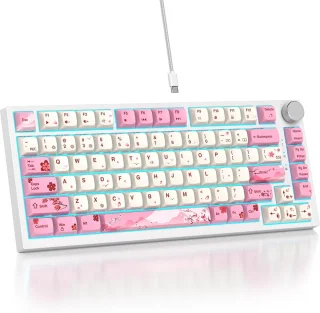 SOLIDEE 82-Key 75% Wired Mechanical Keyboard (82 Flower)