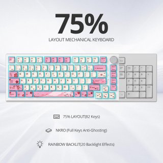 Wat vinden we goed aan de SOLIDEE 82-Key 75% Wired Mechanical Keyboard (82 Flower)