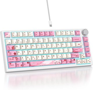 SOLIDEE 82-Key 75% Wired Mechanical Keyboard (82 Flower) review