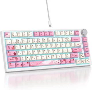 SOLIDEE 82-Key 75% Wired Mechanical Keyboard (82 Flower)