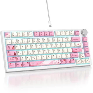 SOLIDEE Wired Mechanical Keyboard 82-Key 75%