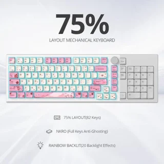 SOLIDEE Wired Mechanical Keyboard 82-Key 75%