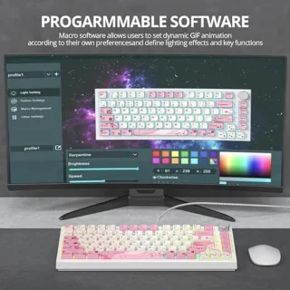 SOLIDEE Wired Mechanical Keyboard 82-Key 75%