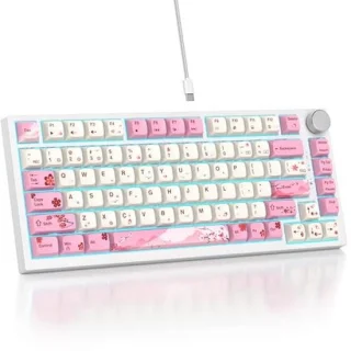 SOLIDEE Wired Mechanical Keyboard 82-Key 75%
