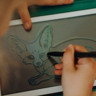 Wat vinden we goed aan de BEAU by Bo Kidywolf Kidydraw Mini Tekenboek met LCD-scherm Dinosaurussen + Refill Once upon a time & Animals