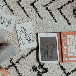 Wat vinden we goed aan de BEAU by Bo Kidywolf Kidydraw Mini Tekenboek - Dinosaurussen