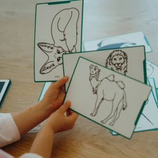 BEAU by Bo Kidywolf Kidydraw Mini Tekenboek