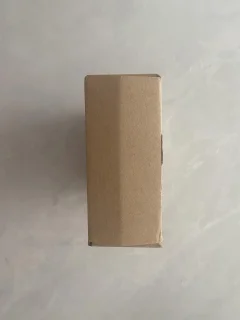 Compact Mini Strijkijzer voor Reizen - Lichtgewicht Stoomstrijkijzer met 50 ml Watertank