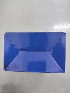 Handheld Kledingstomer met Snelle Opwarming - Mini Draagbaar Reisstrijkijzer 700W