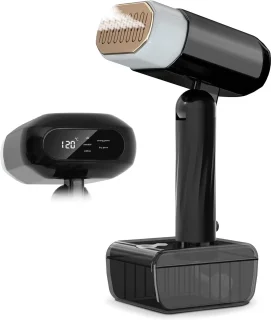 2-in-1 Stoomijzer en Verfroster 2025