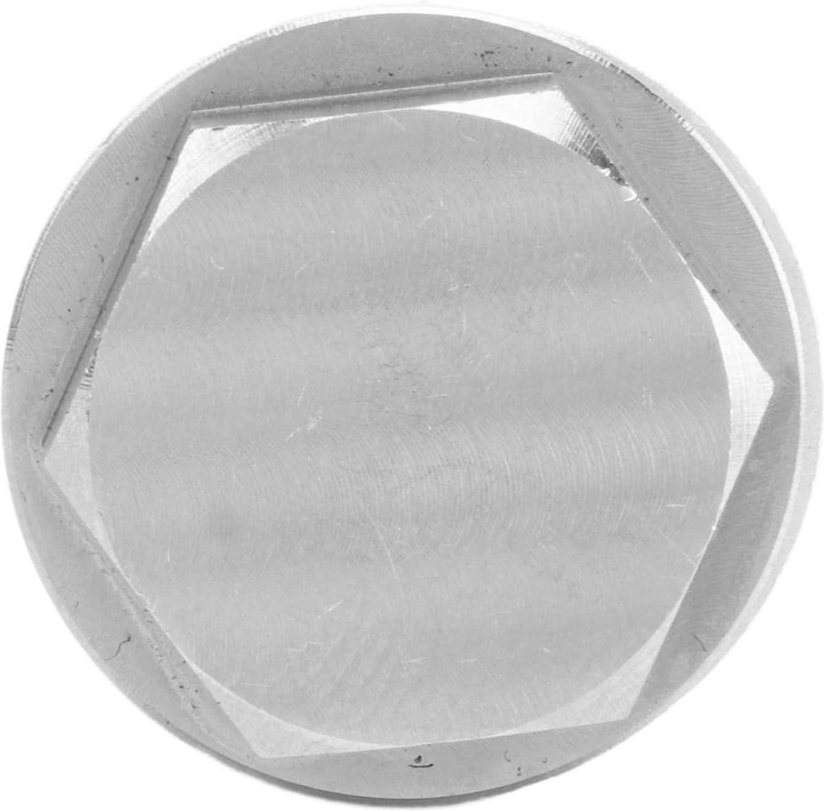 Olieaftapplug RVS met Sluitringen 2 Stuks Magnetisch