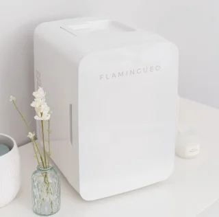 Mini Koelkast 10L - Draagbare Koelkast 12V/220V, Cosmetica Koelkast met Warm en Koud Functie