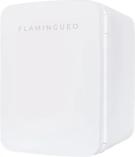 Mini Koelkast 10L - Draagbare Koelkast 12V/220V, Cosmetica Koelkast met Warm en Koud Functie