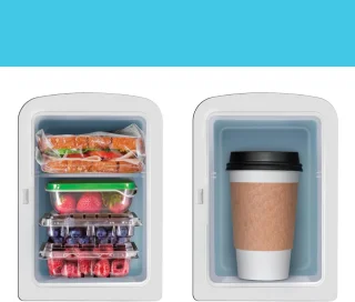ApexArte Mini Koelkast Minibar