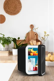 ApexArte Mini Koelkast Minibar Zwart