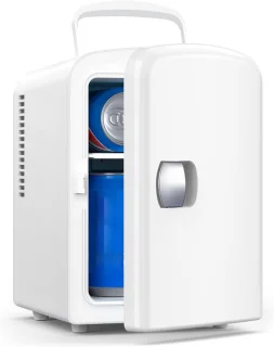 ApexArte Mini Koelkast Skincare Fridge