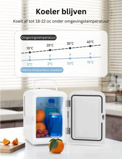 ApexArte Mini Koelkast Skincare Fridge