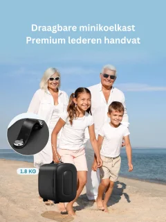 ApexArte Minibar Ultra Black Mini Koelkast