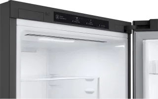 Bosch GBB62PZGFN koelkast