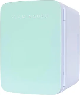 Cosmetische Mini Koelkast 10L