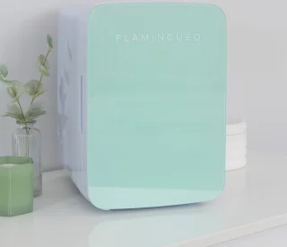 Cosmetische Mini Koelkast 10L