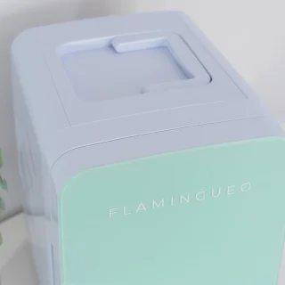 Cosmetische Mini Koelkast 10L