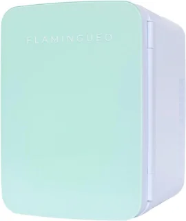 Cosmetische Mini Koelkast 10L