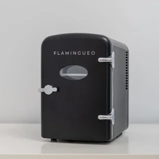 Cosmetische Minikoelkast 4L