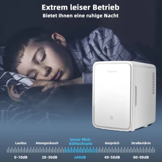 COSTWAY Draagbare mini koelkast 10 L