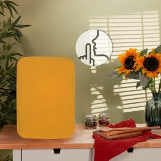 Equivera Mini Fridge Kleine Koelkast