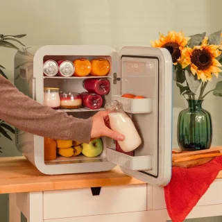 Equivera Mini Fridge Kleine Koelkast