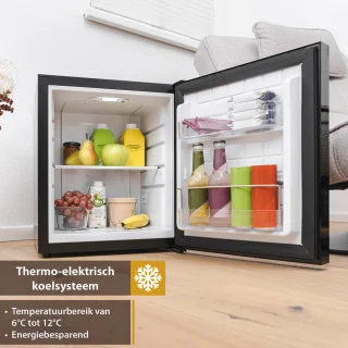 First Austria Mini koelkast 30L zwart