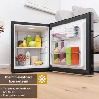 First Austria Mini koelkast 40L zwart