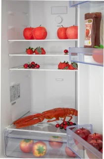 Frilec BONN275-NF-040CI koel-vriescombinatie inox 253L