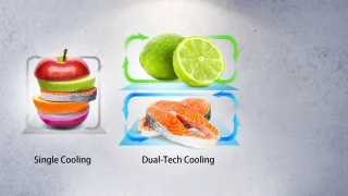 Hisense RF540N4SBI2 Amerikaanse koelkast French door RVS 302L