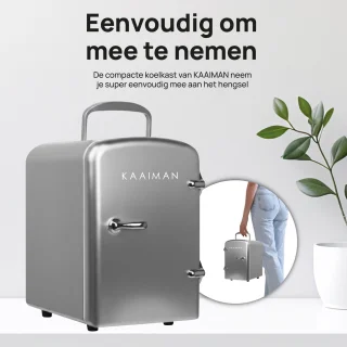 Kaaiman® Cosmetische Mini Koelkast 4L Zilver