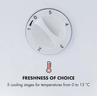 Klarstein Beersafe L Crystal White Koelkast 47L