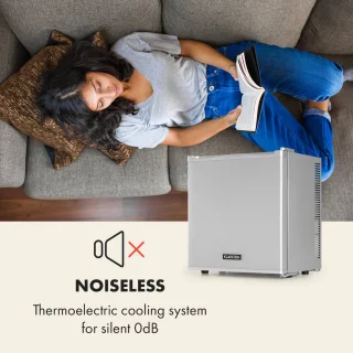 Klarstein Secret Cool Mini-koelkast 13L Zilver