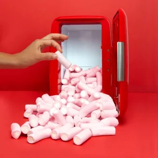 Lexium Minibar Koelkast
