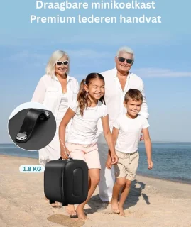 Luxe Mini Koelkast Minibar Skincare Fridge 5L Zwart