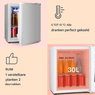 Luxe Mini Koelkast Tafelmodel Zilver