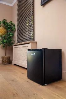 MaxxHome Mini Koelkast 42 L Zwart