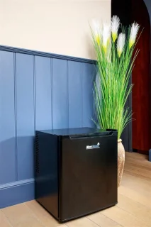 MaxxHome Mini Koelkast 42 L Zwart