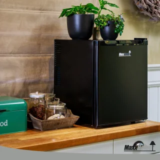 MaxxHome Mini Koelkast 42 L Zwart