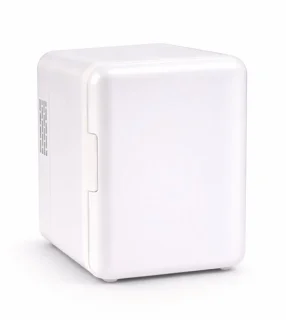 Compact koelgemak voor onderweg: Mini Koelkast 4L (12V)