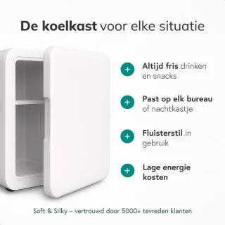 Mini Koelkast 5L Barmodel