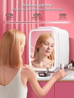 Mini Koelkast Minibar