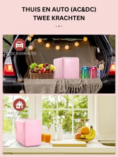 Minibar Mini Koelkast Roze