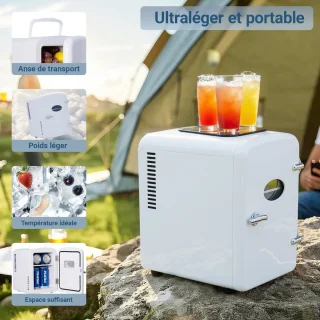 NETTLIFE Mini Koelkast 4L