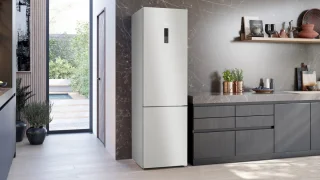 Siemens iQ300 KG39NXICF Koel-vriescombinatie RVS